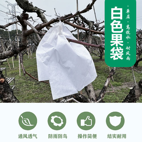 桃子套袋专用袋黄桃袋桃子纸袋黄桃水蜜桃纸袋防虫水桃袋白色 - 图3