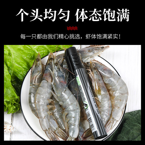 连云港特产新鲜现捕海捕活虾鲜活速冻特大海虾冷冻对虾基围虾4斤 - 图1