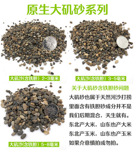 原生沙大矶沙鼠鱼七彩雷龙埃及沙南美鱼缸中性沙含铁胆大矶砂包邮 - 图2