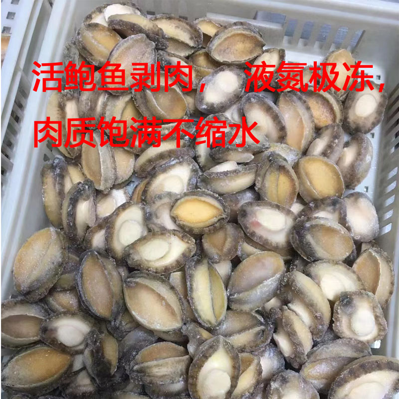 鲍鱼肉80-100只去壳去内脏高档食材规格齐全捞汁烧烤串串顺丰冷链 - 图2