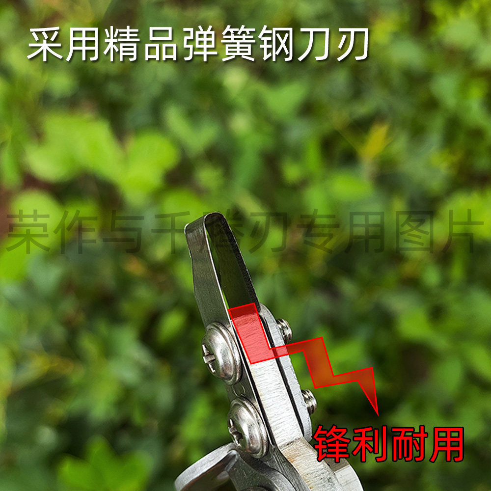 荔友24款6档环剥刀荔枝龙眼枣树果树环割工具园林园艺专业环割刀,淘宝优惠券,粉丝福利购,淘宝优惠卷