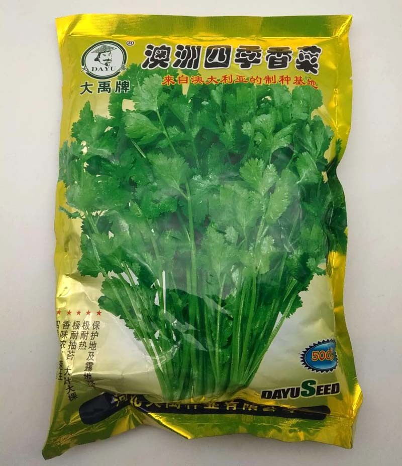 泰国大叶香菜种子香菜种籽菜籽蔬菜庭院阳台盆栽500克一斤半斤 - 图0