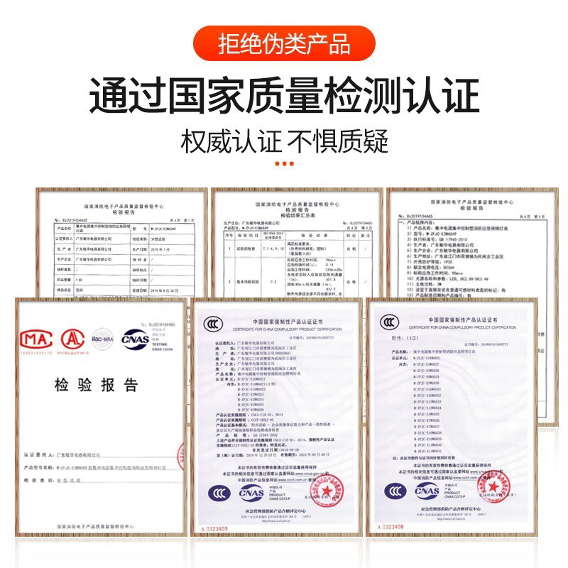 NST拿斯特A型应急灯集控安全出口编码疏散指示灯智能应急灯DC36V - 图0