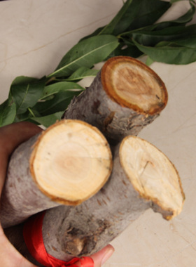 桃木树枝 桃木挂件原木 婴儿孕妇夜晚啼哭随身携带东南桃木棍