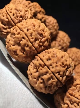 手机实拍 弥刻尼泊尔大金刚6瓣23mm芒星爆肉蜂窝菩提子手串男红皮
