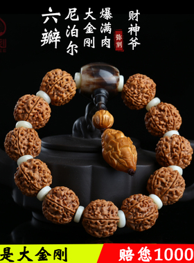 弥刻六瓣爆满肉尼泊尔