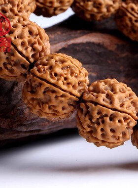 弥刻6瓣尼泊尔大金刚菩提手串