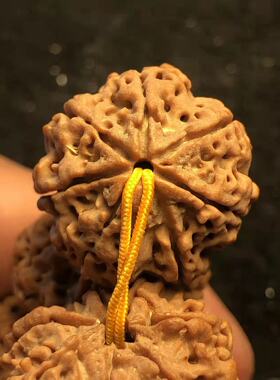 弥刻文玩7瓣25mm七瓣爆肉蜂窝尼泊尔大金刚菩提子佛珠手串黄皮