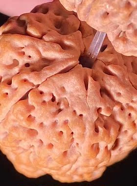 弥刻六瓣蜂窝六星头金刚菩提