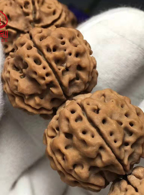 爆肉尼泊尔大金刚手串菩提佛珠
