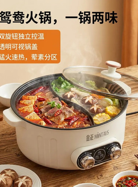 金正鸳鸯电火锅家用多功能家用锅