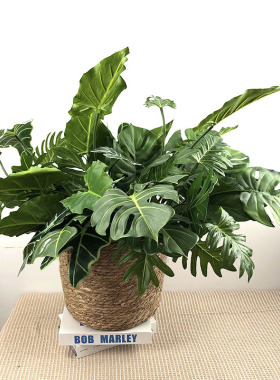 仿真龟背叶北欧植物龟背竹家居