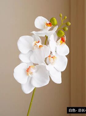 含阳仿真花高档手感保湿5头兰