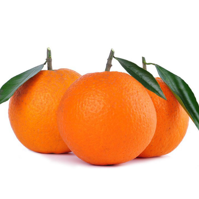 新鲜水果橙子5斤包邮三峡湖北雷家脐橙秭归脐橙雷家脐橙纽荷尔甜,淘宝优惠券,粉丝福利购,淘宝优惠卷
