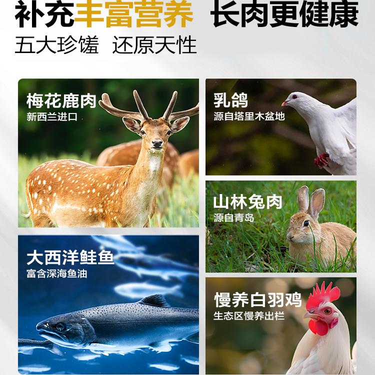 商品详情图片