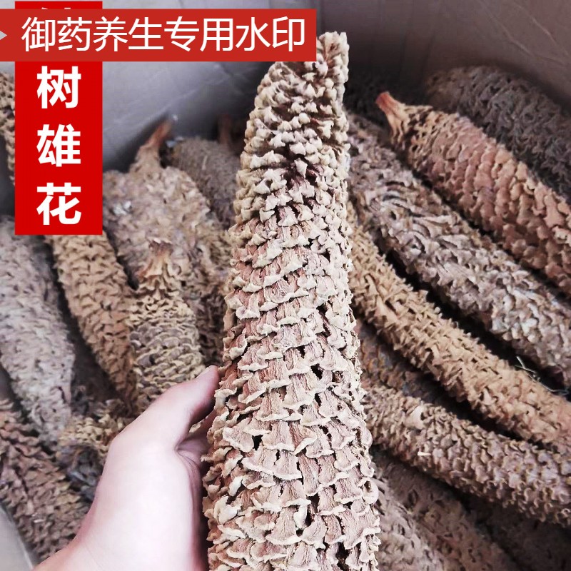 同仁堂品质铁树花中药材正品干花凤尾蕉铁树雄花另有雌花500g包邮 - 图0