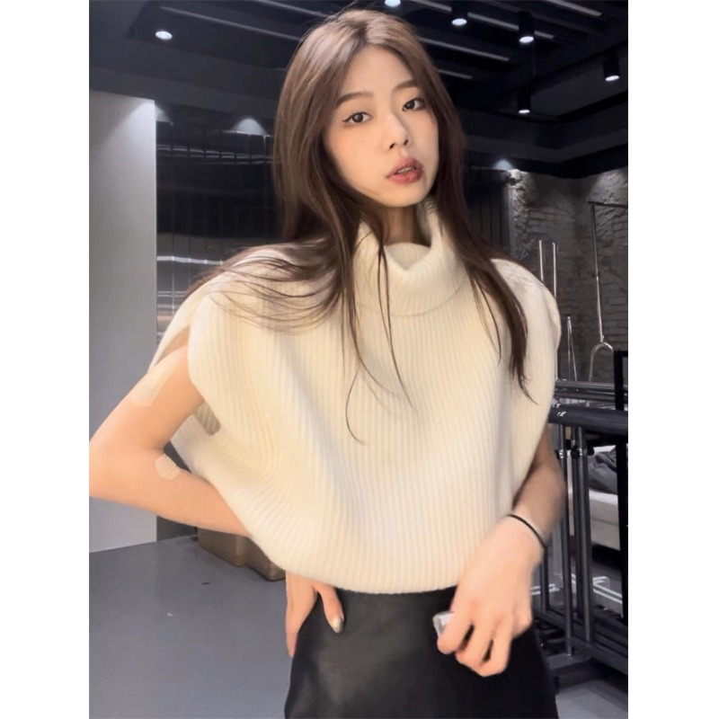 时尚洋气高领背心毛衣女秋季2025年新款宽松套头无袖马甲针织衫潮 - 图1