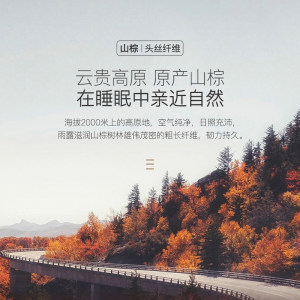 爱舒床垫棕立方【棕云境】天然乳胶纯山棕床垫偏硬护脊椎席梦思