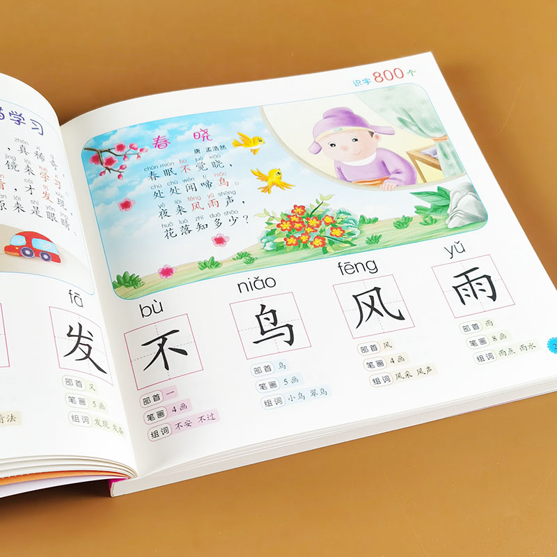 学前识字800个 幼儿识字书 启蒙 认字注音儿童早教幼儿园大班识字教材看图简单汉字笔画笔顺部首组词儿歌童谣小学一年级入学准备