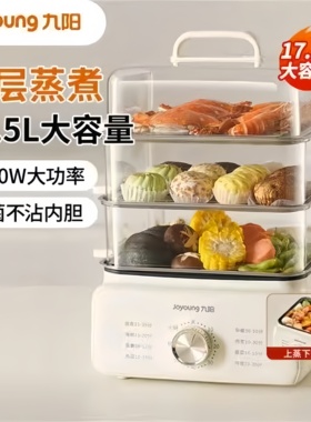 九阳电蒸锅家用多功能一体蒸笼