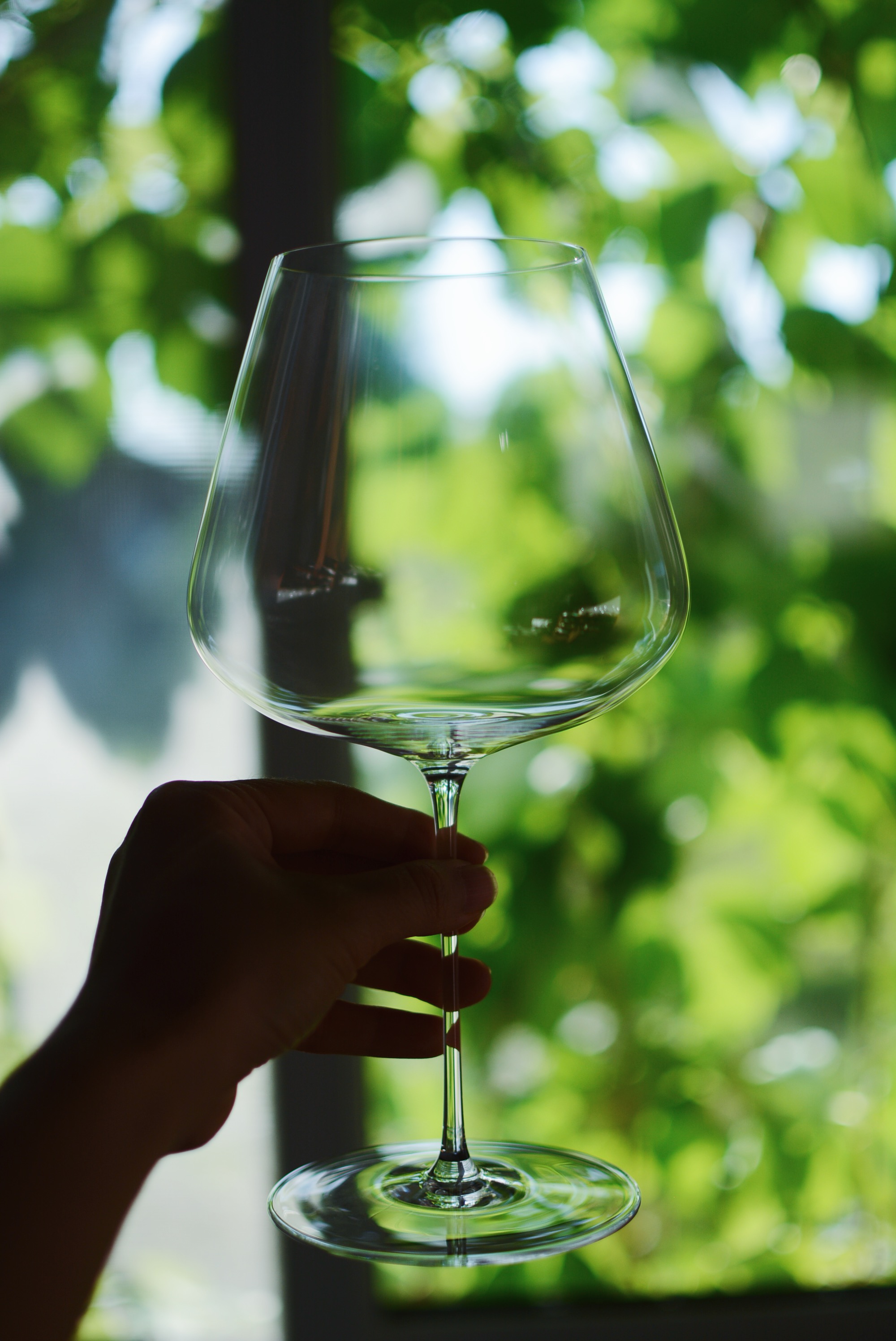 【经典圆底款！】收集时光 Camus say高脚杯 波尔多杯 白葡萄酒杯 - 图0