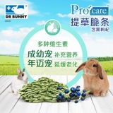 Доктор кроличьи кроличьи трава кризис (в том числе черная волчья) кроличьи голландские голландские свиньи, закуски для голени мога