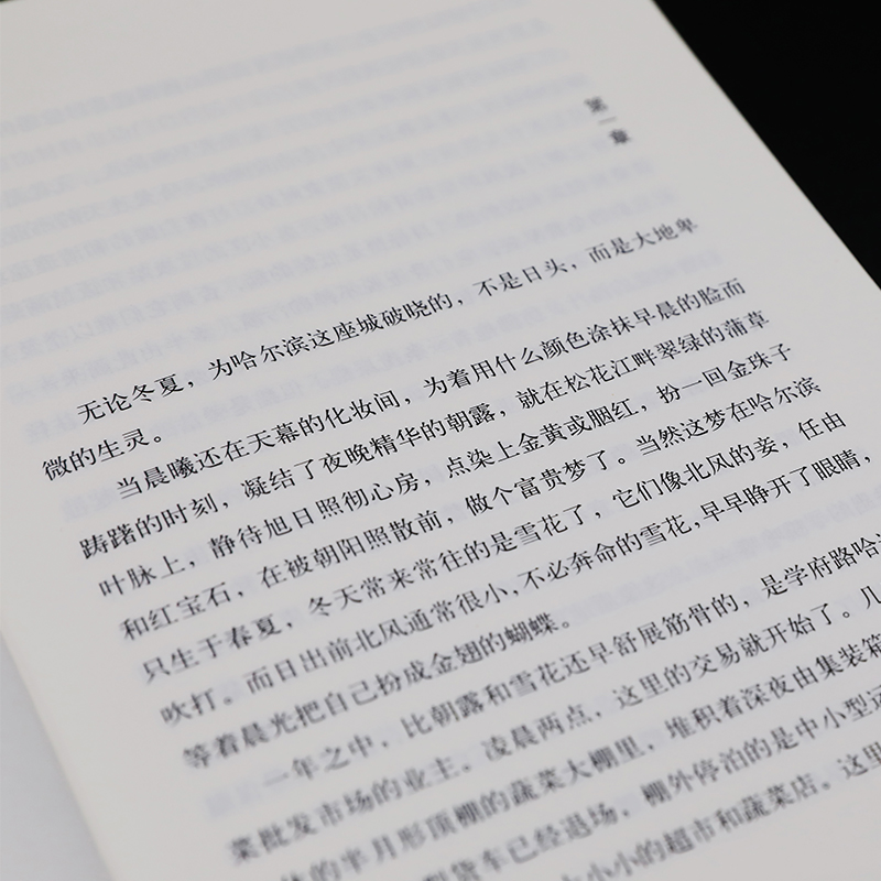 烟火漫卷 迟子建长篇力作 书写城市烟火照亮人间悲欢 一部聚焦当下都市百姓生活的长篇小说 人民文学出版社 中国近当代小说畅销书 - 图2