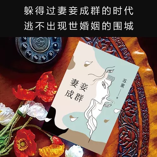 妻妾成群 茅盾文学奖得主苏童中篇小说代表作 张艺谋电影大红灯笼高高挂原著作品 现代当代文学小说书籍我的帝王生涯 新华书店正版 - 图2