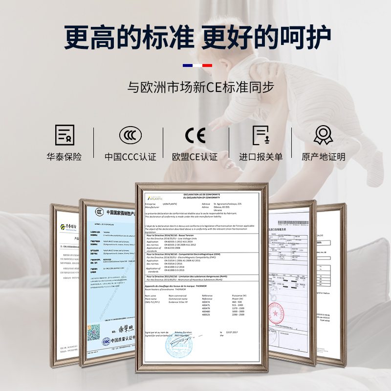 法国赛蒙进口电暖气取暖器家用节能静音省电壁挂暖风机Ev3 2500