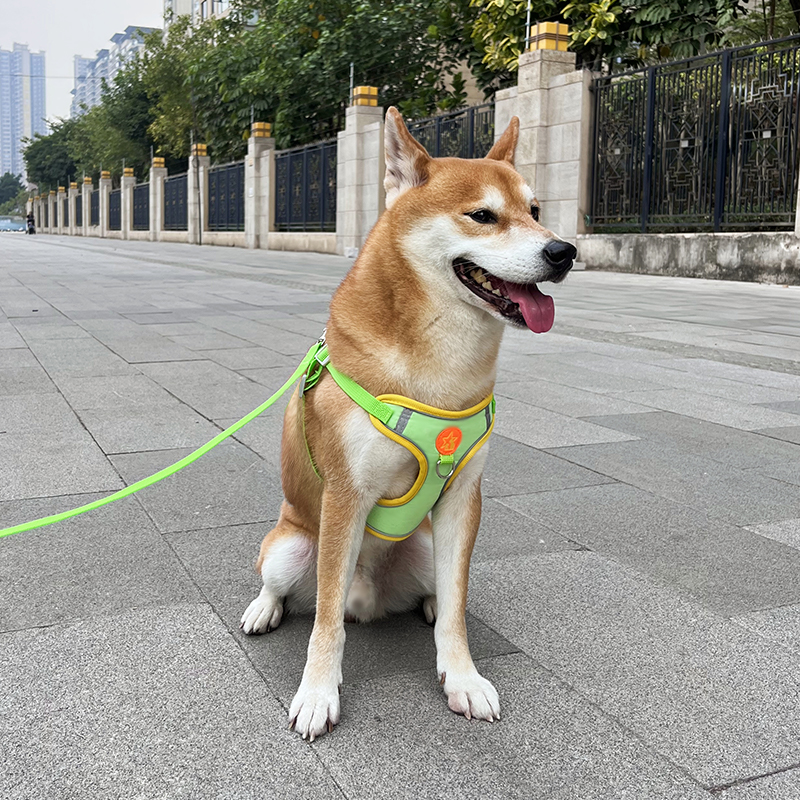 背心式狗狗牵引绳中型小型犬泰迪比熊博美胸背带幼犬遛狗绳狗链子 - 图0