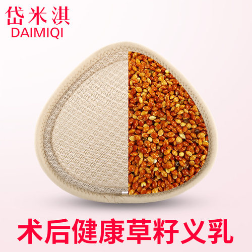 岱米淇义乳文胸二合一套装乳腺癌术后前扣内衣轻质草籽义乳假乳房 - 图1