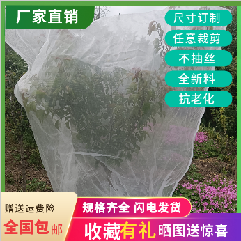 农用防虫网加厚白纱网果园蔬菜大棚菜地养殖场防蚊虫果蝇针蜂小鸟