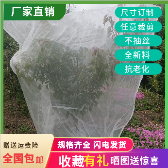 农用防虫网加厚白纱网果园蔬菜大棚菜地养殖场防蚊虫果蝇针蜂小鸟 - 图2