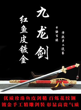 正品龙泉九龙剑花纹钢烧刃宝剑汉剑唐剑镇宅一体剑唐横刀剑未开刃