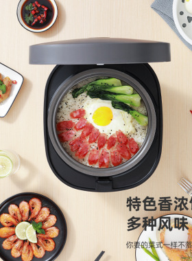 龙的电饭煲多功能家用煮饭锅