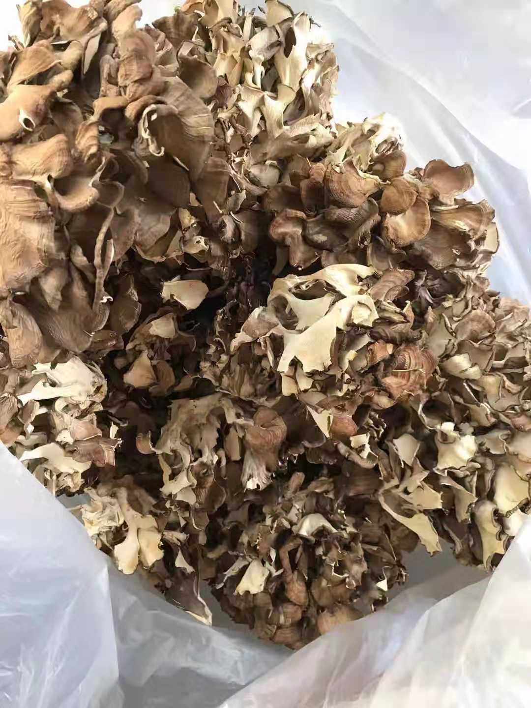 庆元灰树花干货无泥沙灰树菇舞茸茶菊花菌500g栗蘑新鲜灰树花包邮,淘宝优惠券,粉丝福利购,淘宝优惠卷