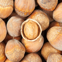 Creek taste sundry up to life hazelnut 500 gr Northeast big hazelnut flat European hazelnut