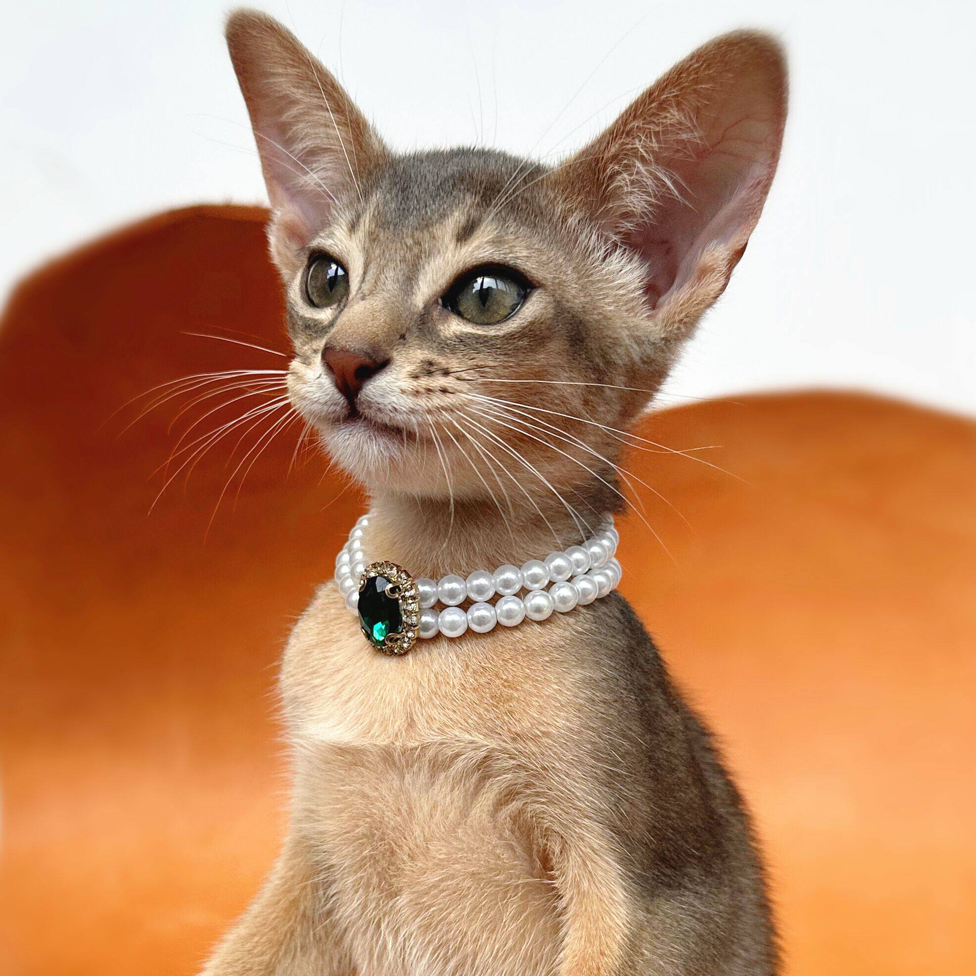 猫咪珍珠项圈猫咪项链宠物用品装饰复古宝石德文阿比西尼亚猫饰品