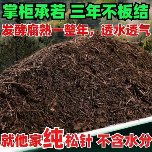 松针土腐叶土君子兰杜鹃花茶花兰花卉营养酸性土专业土蓝莓土绿萝 - 图1