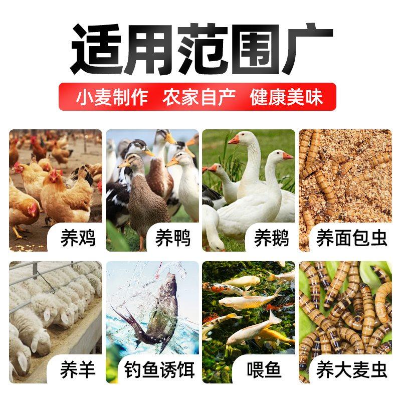 麦麸皮小麦麸 鸡鸭虫吃粗麦麸细麦麸饲料 钓鱼麦麸麸皮小麦麸皮粉,淘宝优惠券,粉丝福利购,淘宝优惠卷