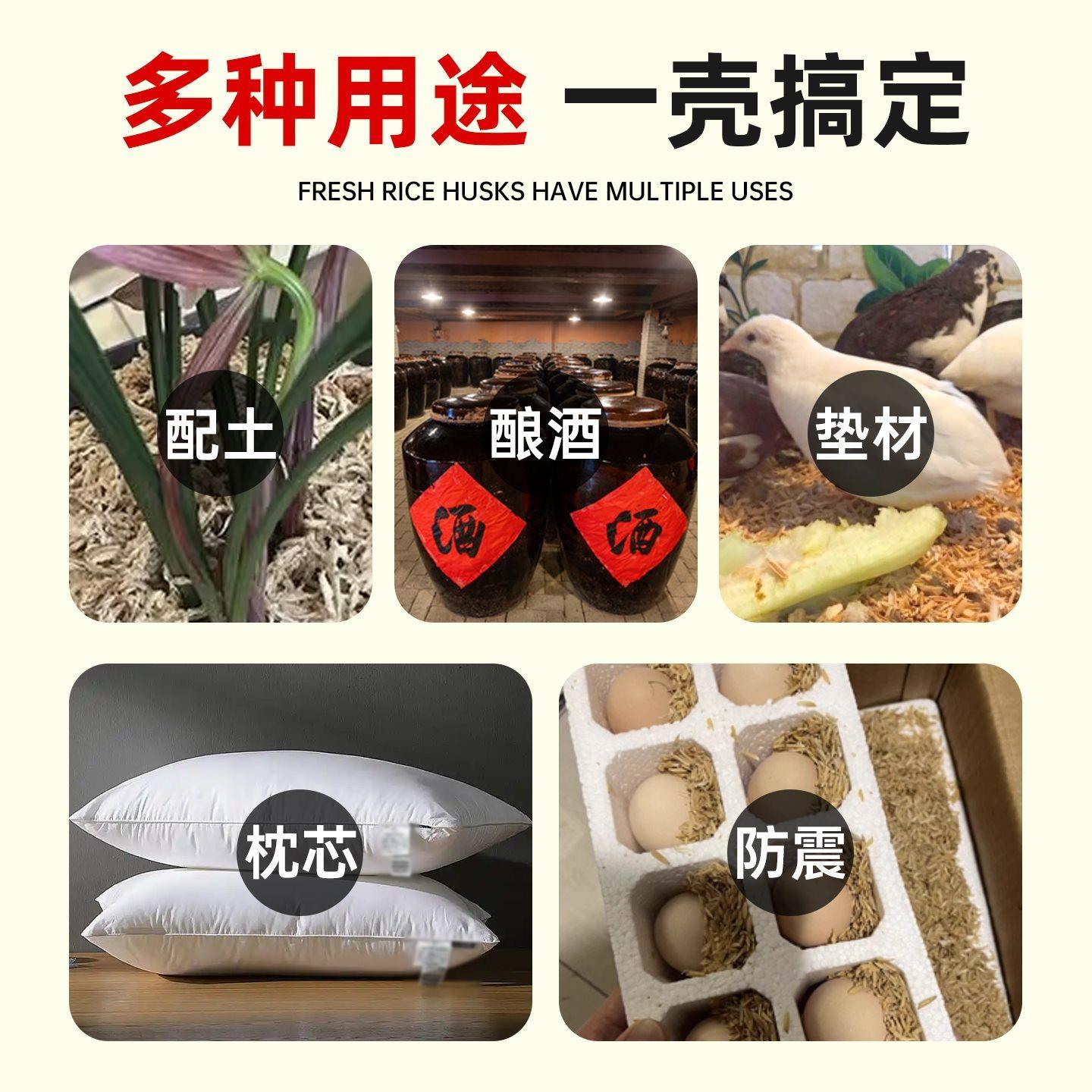 新鲜稻壳垫料稻谷壳粗米糠喂鸡宠物芦丁鸡枕头芯填充酿酒纯干饲料,淘宝优惠券,粉丝福利购,淘宝优惠卷