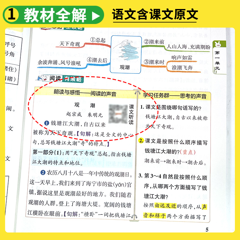 2024版小学教材搭档三年级四年级一二年级五六年级下册上册语文数学英语人教版北师版 pass绿卡黄冈学霸笔记课堂同步教材解读全解 - 图2