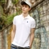 Mùa hè 2019 nam mới cotton ve áo ngắn tay áo polo nam kinh doanh áo thun ngắn tay màu rắn - Polo t shirt golf Polo