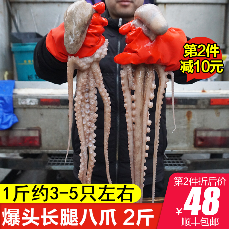 爆頭八爪魚 鮮活冷凍新鮮生鮮大 小章魚海鮮水產長腿八抓魚
