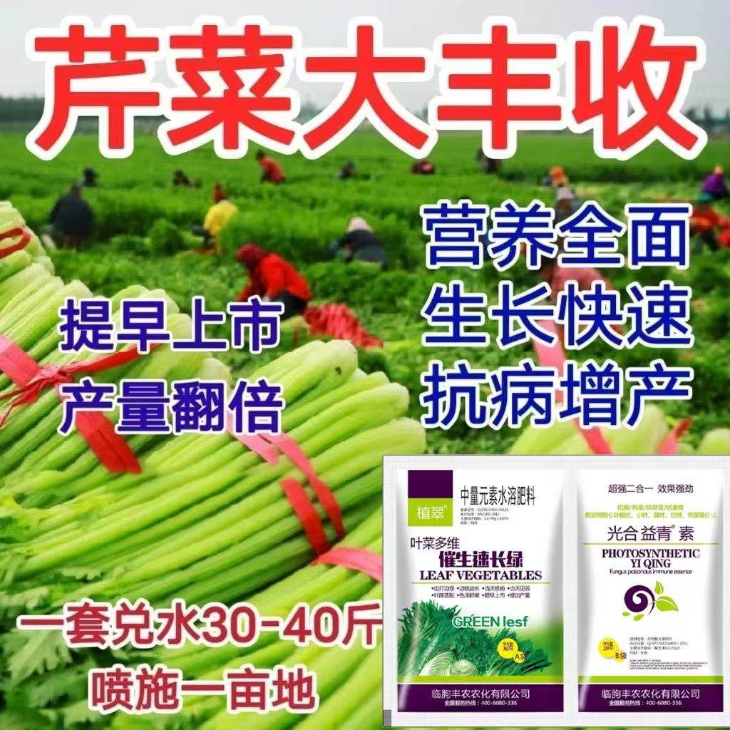 芹菜催生速长灵芹菜专用肥蔬菜生长素油菜青菜空心菜香菜叶面肥,淘宝优惠券,粉丝福利购,淘宝优惠卷