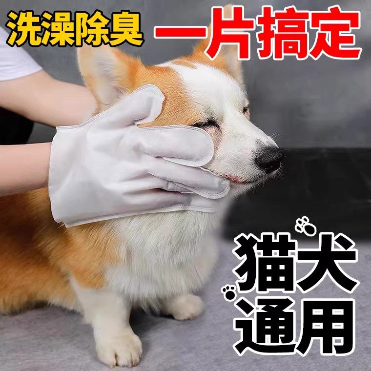 猫咪洗澡宠物湿纸巾免洗手套神器眼部去泪痕清洁洗脚擦浴狗狗干洗,淘宝优惠券,粉丝福利购,淘宝优惠卷