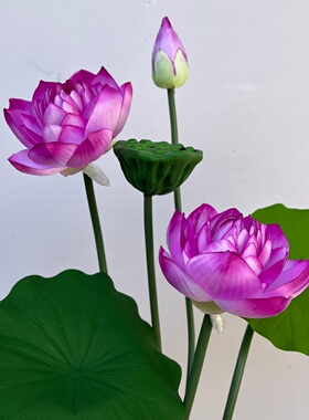 现代简约3D仿真荷花橱窗摆件