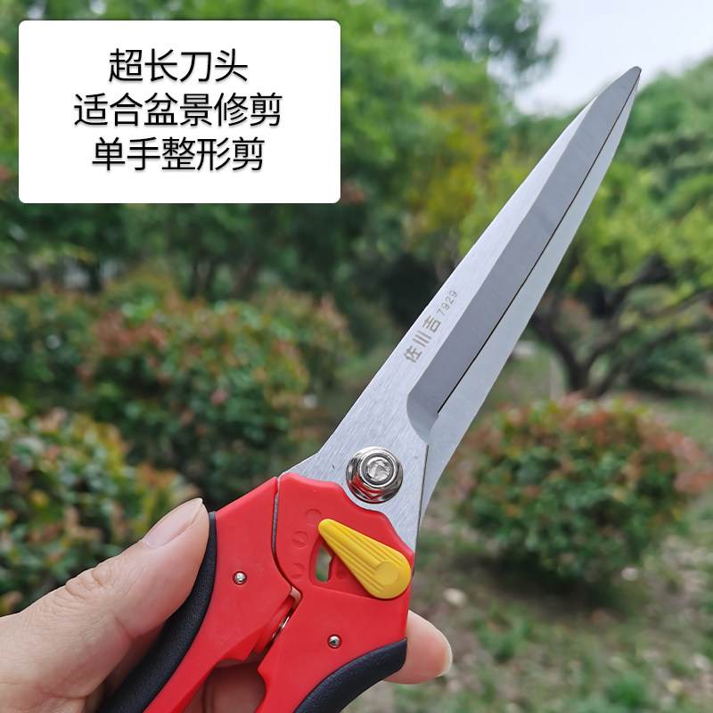 台湾进口修枝剪刀佐川吉园艺剪刀果树园林修剪工具130高碳钢果园_虎窝淘