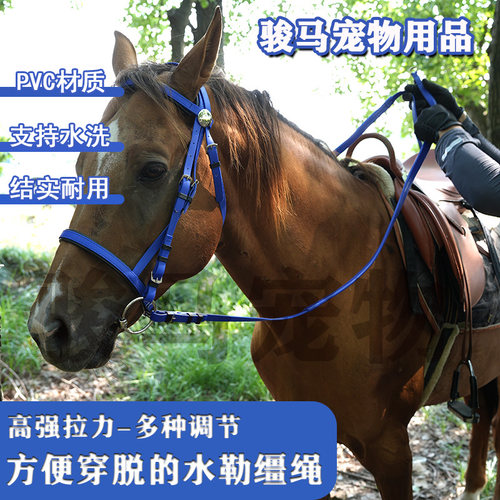 耐用Pvc马术装备套装水勒缰绳，马笼头套与缰绳带可拆卸马嚼子 - 图0