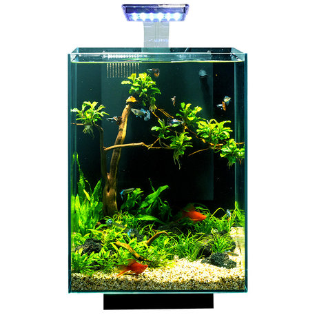 vertical fish tank